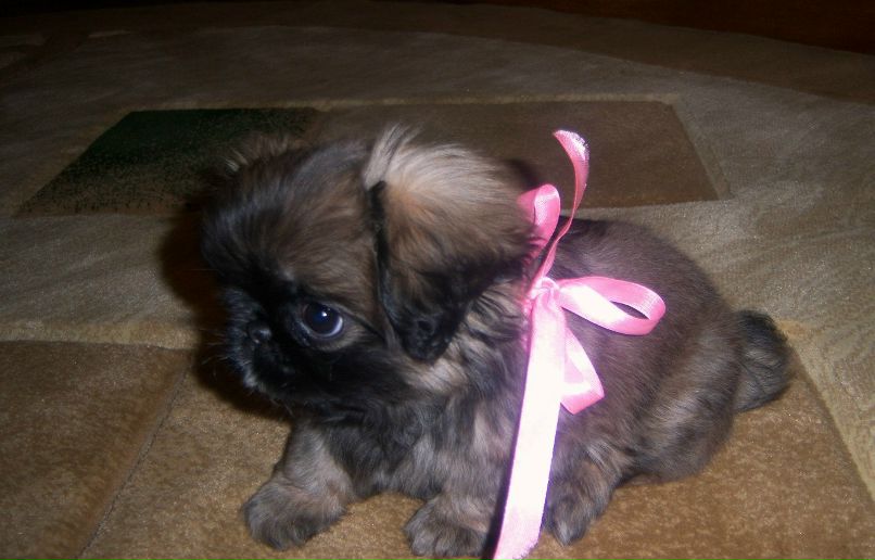 Светлана Цыбочкина | Пенза