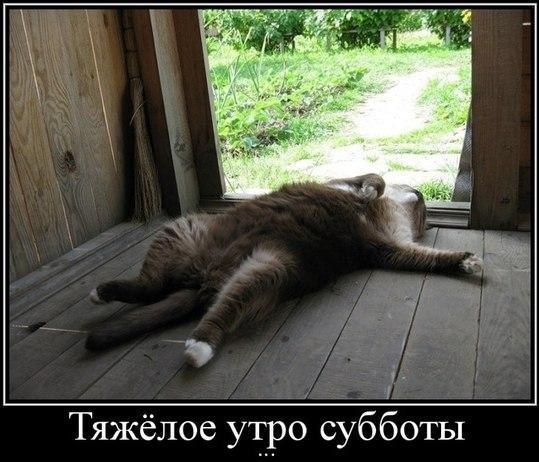 Nataliya Fedushina | Санкт-Петербург