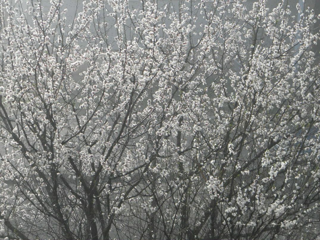 Артур Вовк | Донецк