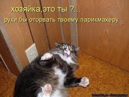 Ирина Новикова фото со стены #1