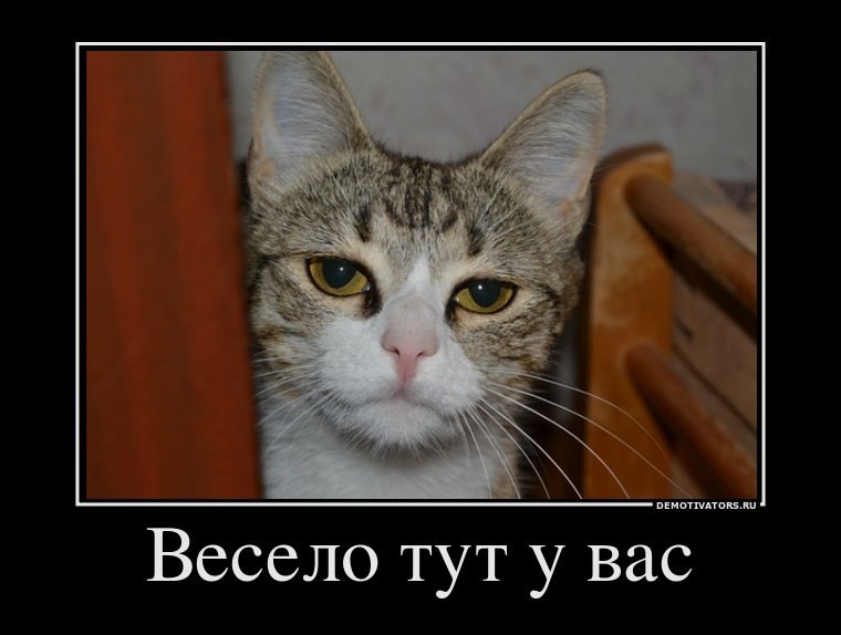 Александр Михненко | Херсон