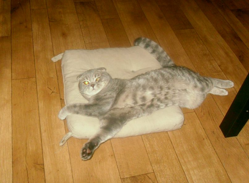 Танюша Красовская | Санкт-Петербург