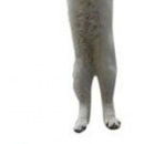 №122, Яна Вороненко, 28 лет, Донецк №122, Яна Вороненко, 28 лет, Донецк