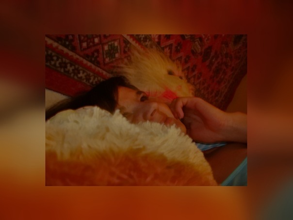 №13, Алена Гребенникова-Шаповал, 33 года, Волгоград №13, Алена Гребенникова-Шаповал, 33 года, Волгоград