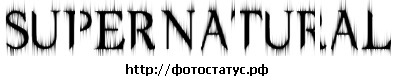 №20, Сергей Дудник №20, Сергей Дудник