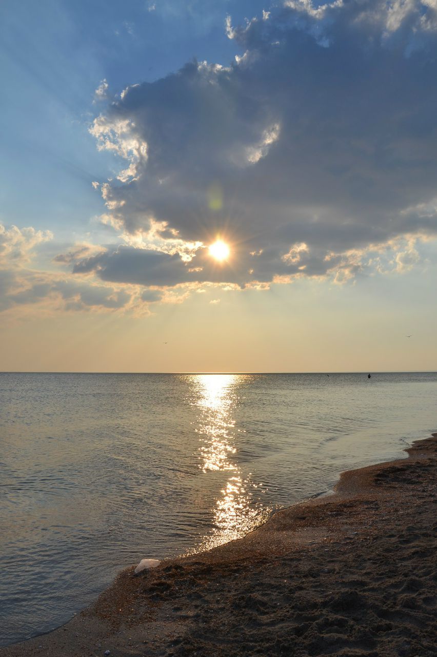 Жанна Подлесная | Киев