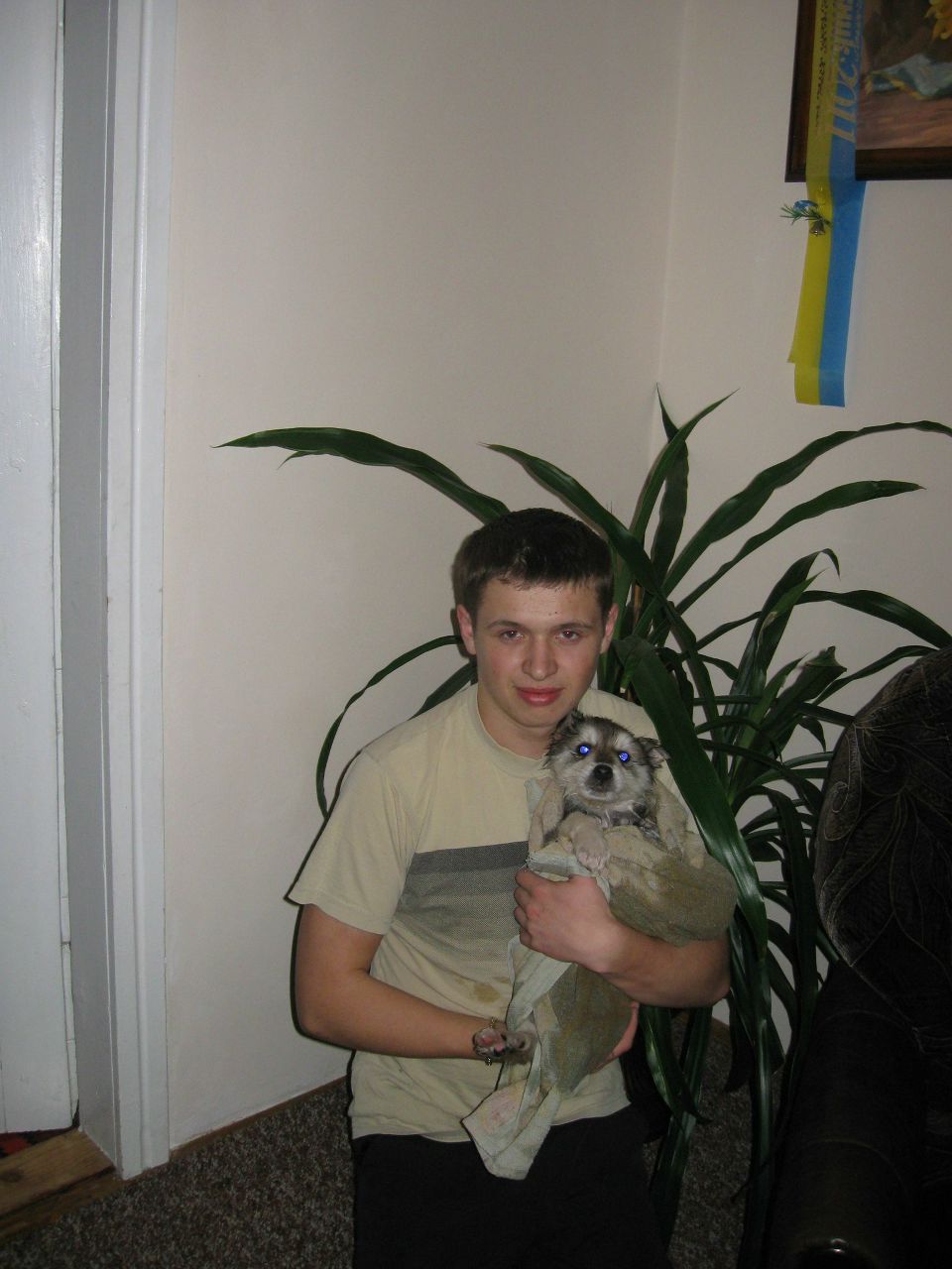 Вовчик Меньок | Mississauga