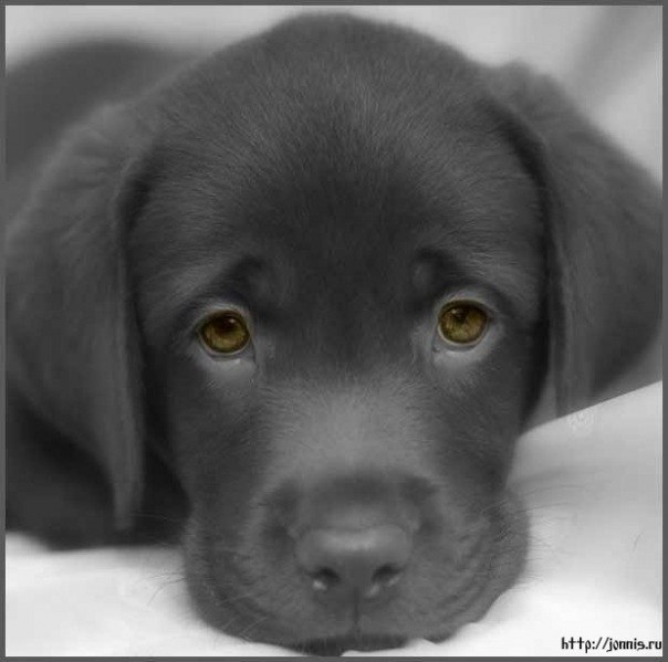 Tanusha Korotaeva | Архангельск