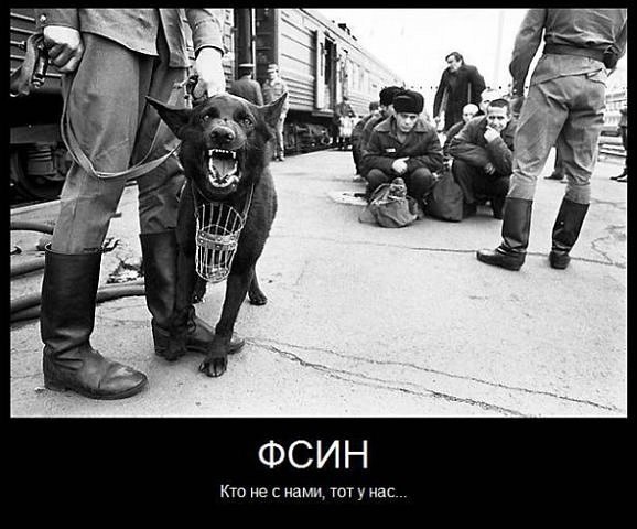 Андрей Васильев | Едрово