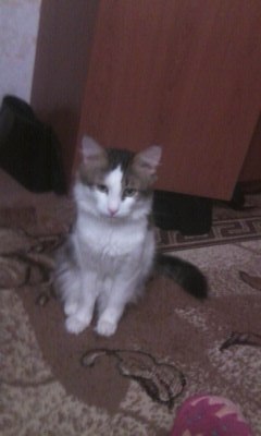 Светлана Мирошник | Казань