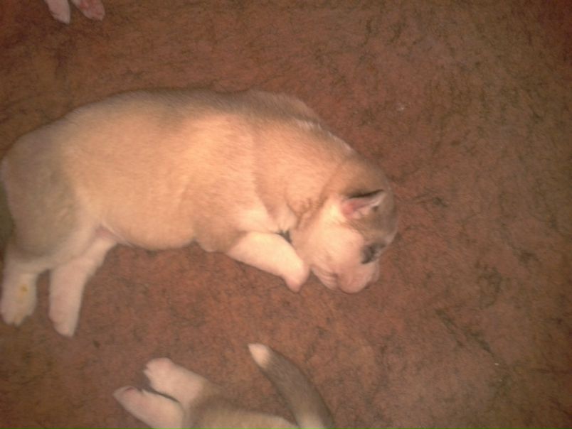 №121, Олександр Філоненко, 31 год, Ужгород №121, Олександр Філоненко, 31 год, Ужгород