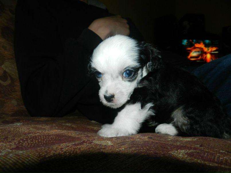 Роман Фатеев | Архангельск