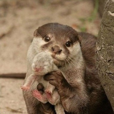 Элина Ростова | Челябинск