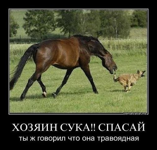 Алексей Селиверстов | Псков