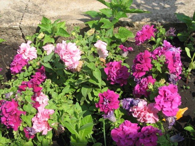 Ильмира Ягафарова | Уфа