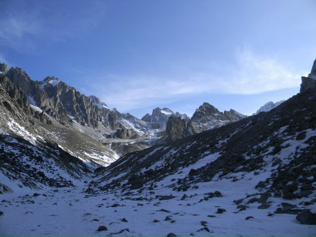 Паша Цветов | 