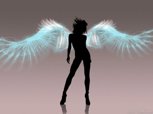 Светлана Стадник | Санкт-Петербург