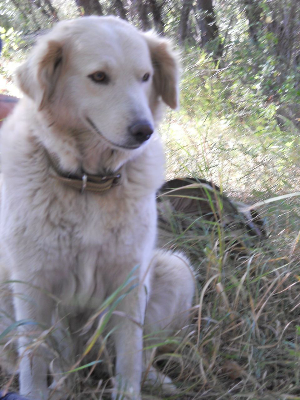 Tamuna Khuchua КаРамЭлькО | Тбилиси