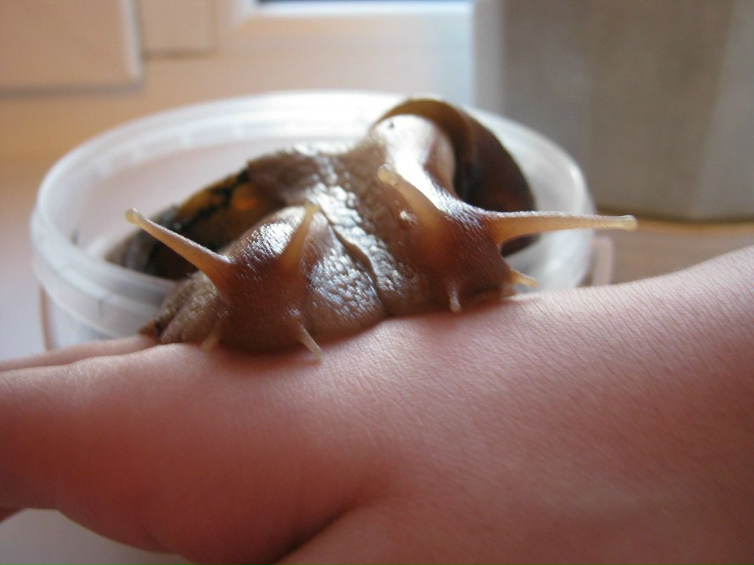 Наталья Загуляева | 