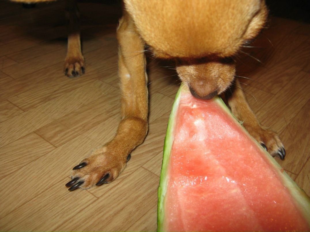 Наталья Загуляева | 