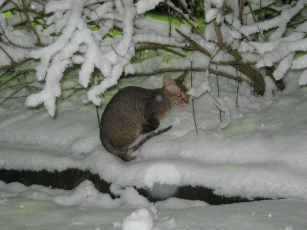 Наталья Загуляева | 