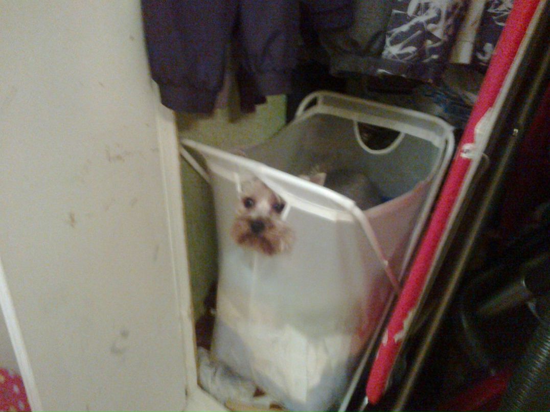 Сергей Раннев | Москва