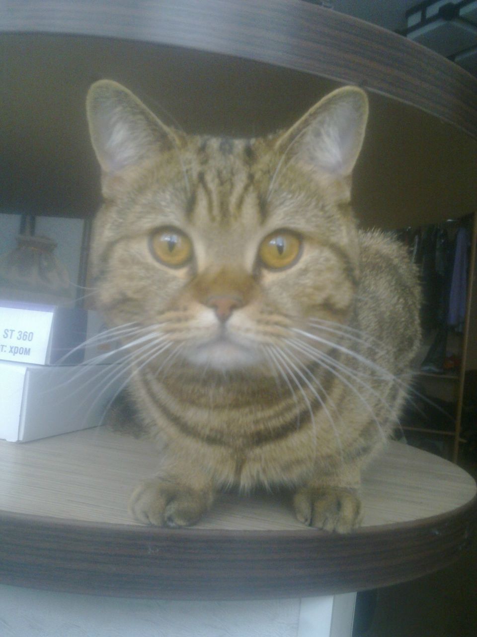 Олег Нагатинский Cloud | Москва