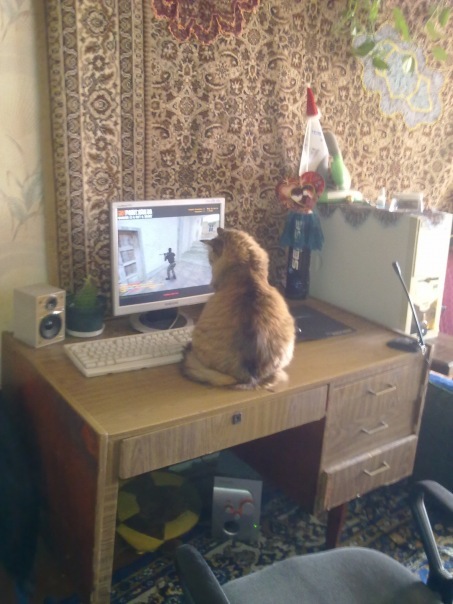 №49, Женя Колос, 34 года, Сумы №49, Женя Колос, 34 года, Сумы