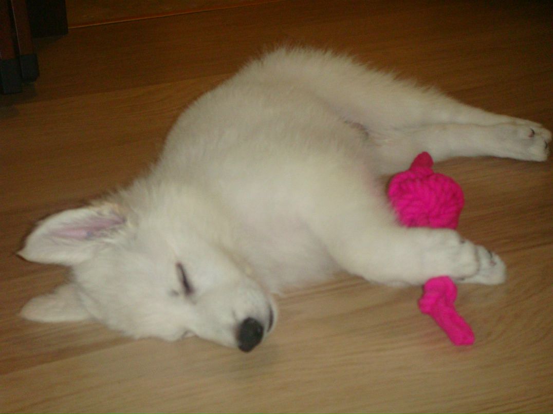 Влад Якубовский | Ивано-Франковск