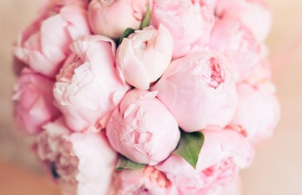 Карина Григорьян | Ростов-на-Дону