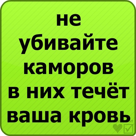 №36, Александр Гуз, Орск №36, Александр Гуз, Орск
