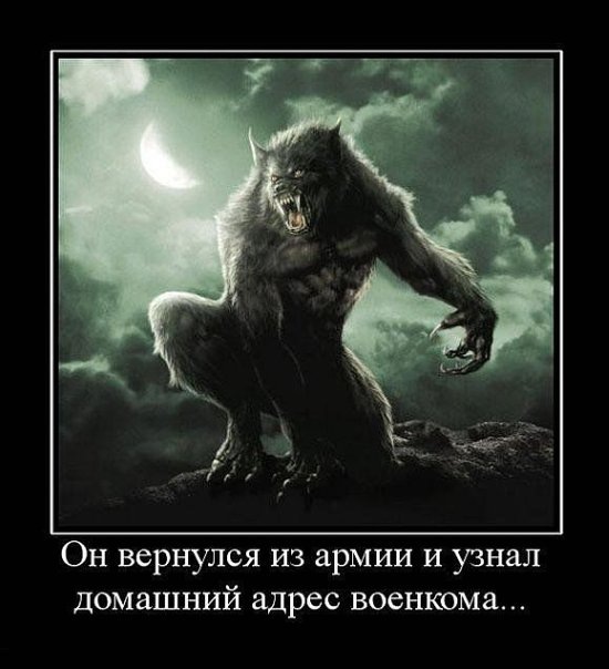 №35, Саша Красуля, Москва №35, Саша Красуля, Москва