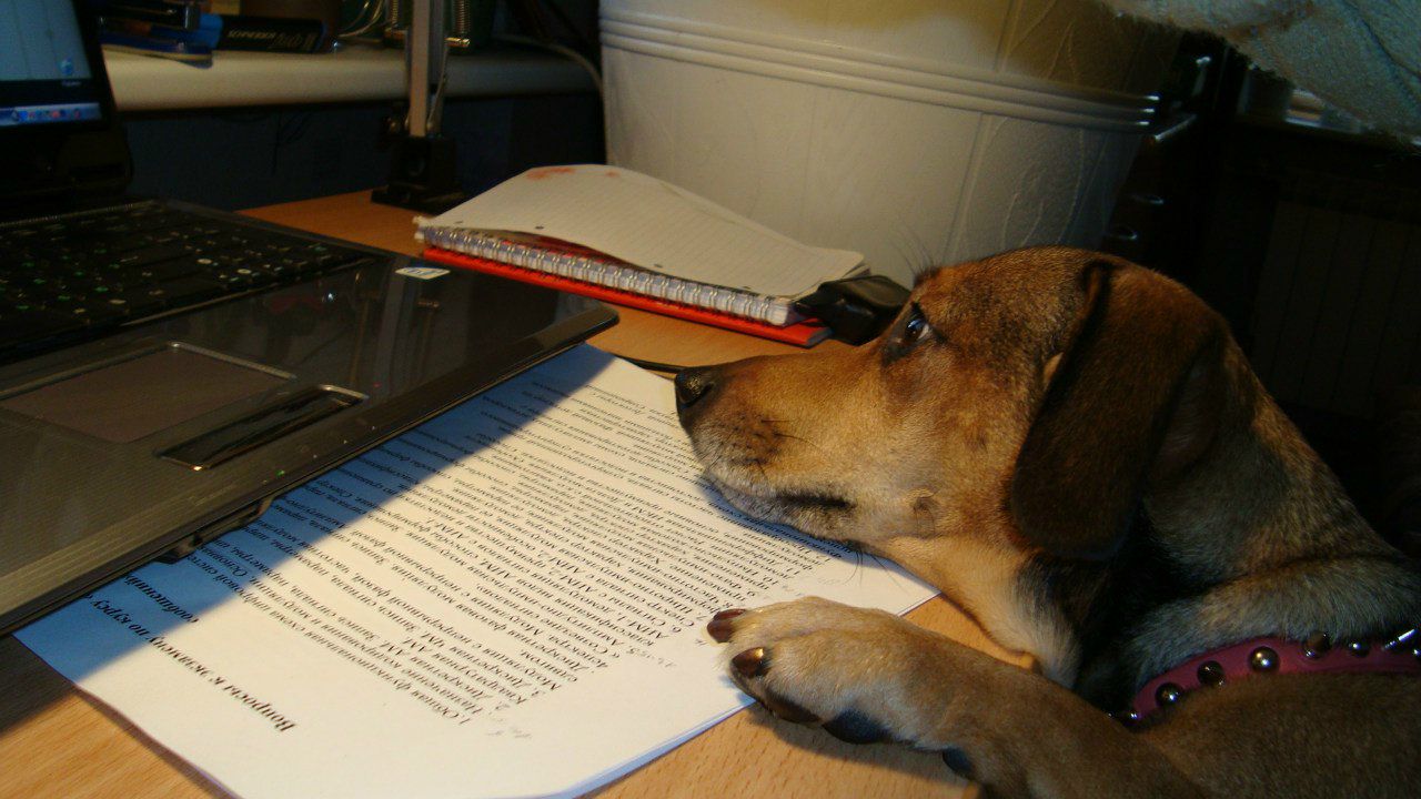 Анастасия Жандло | 