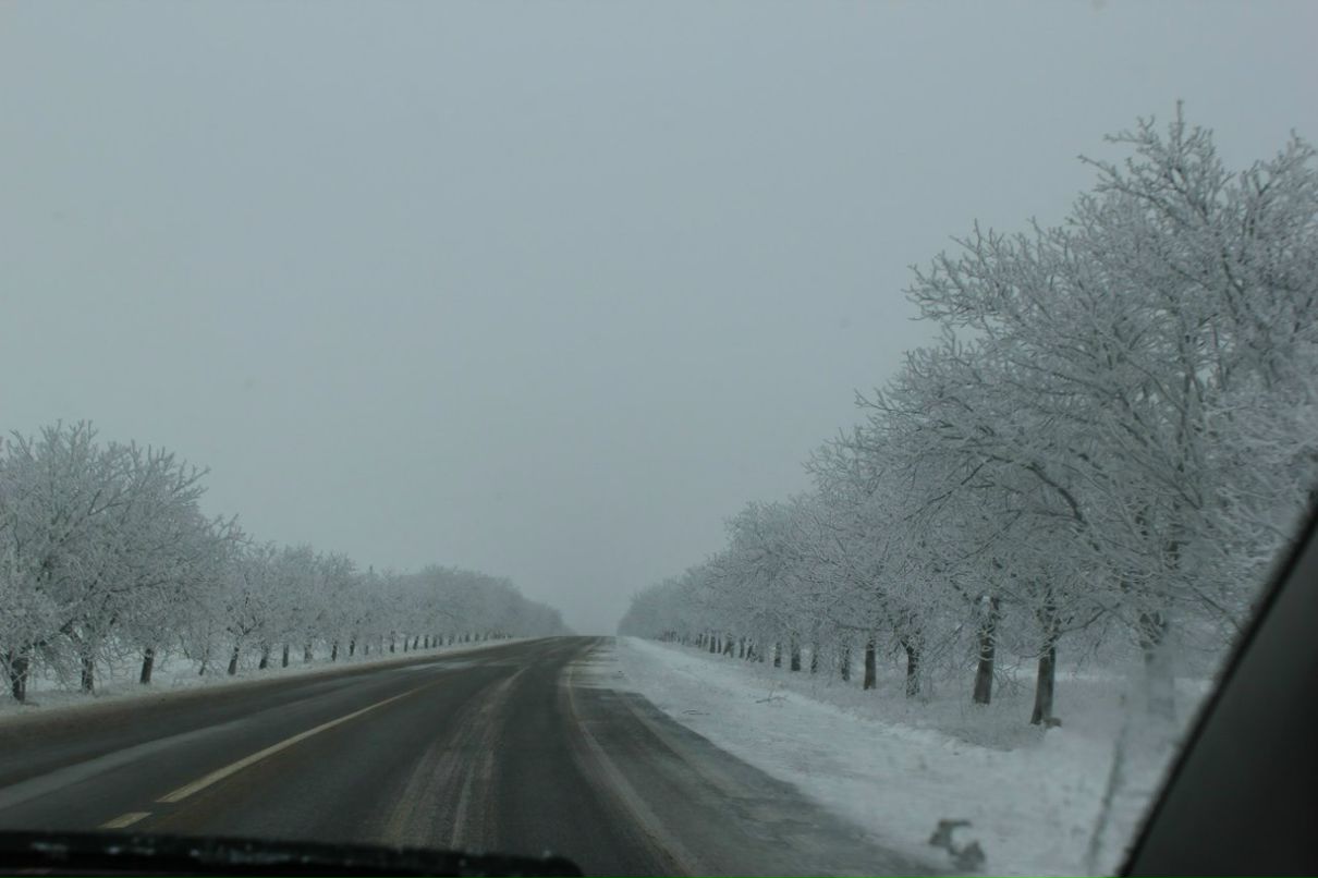 Мариша Кара | 