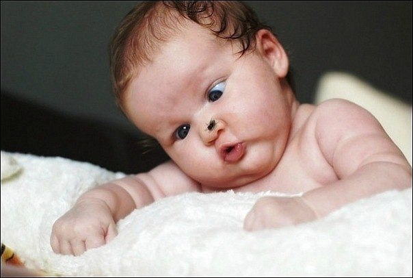 Залим Ибрагимов | Москва