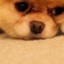 №43, Женечка Погребная, 36 лет, Днепр (Днепропетровск) №43, Женечка Погребная, 36 лет, Днепр (Днепропетровск)