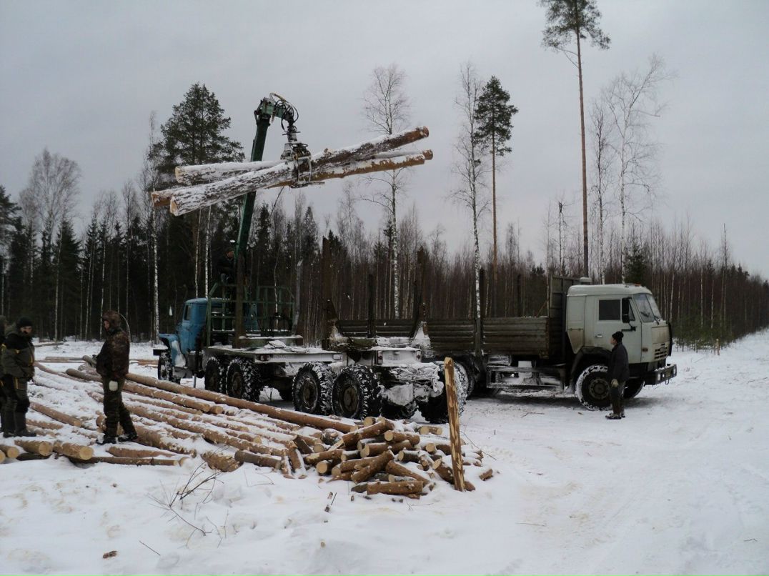 Павел Жаркофф | Санкт-Петербург