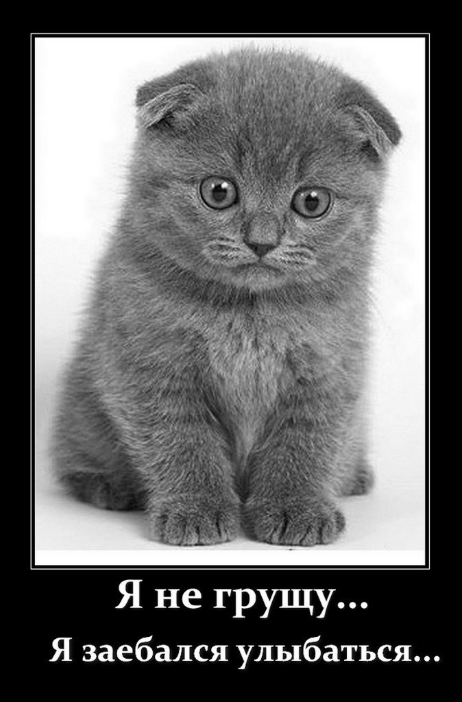 Igor Kogut | Киев