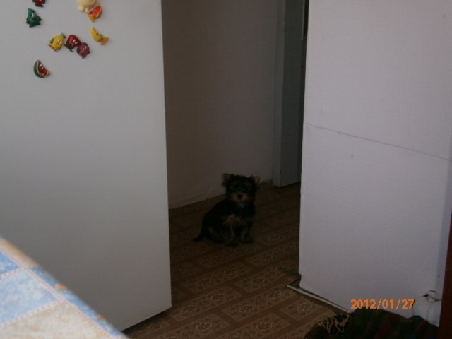 Мария Приволько | Санкт-Петербург