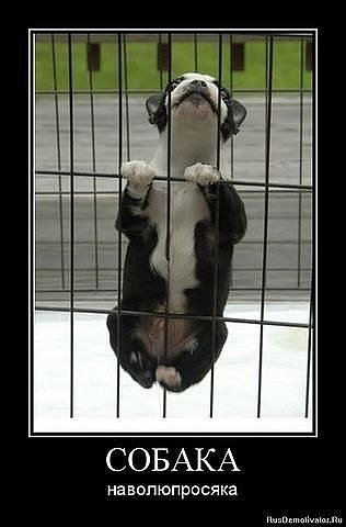 Наталья Воробьёва | Севастополь