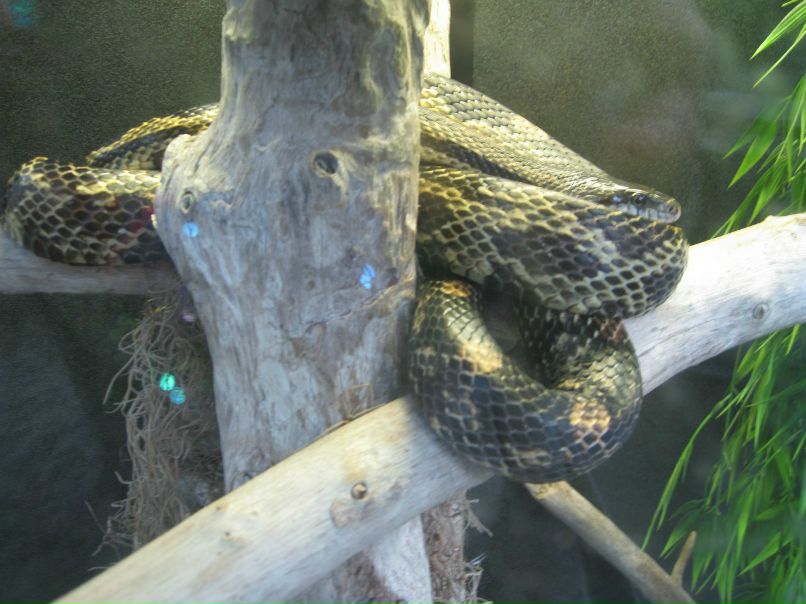 Евгения Фурова | Москва