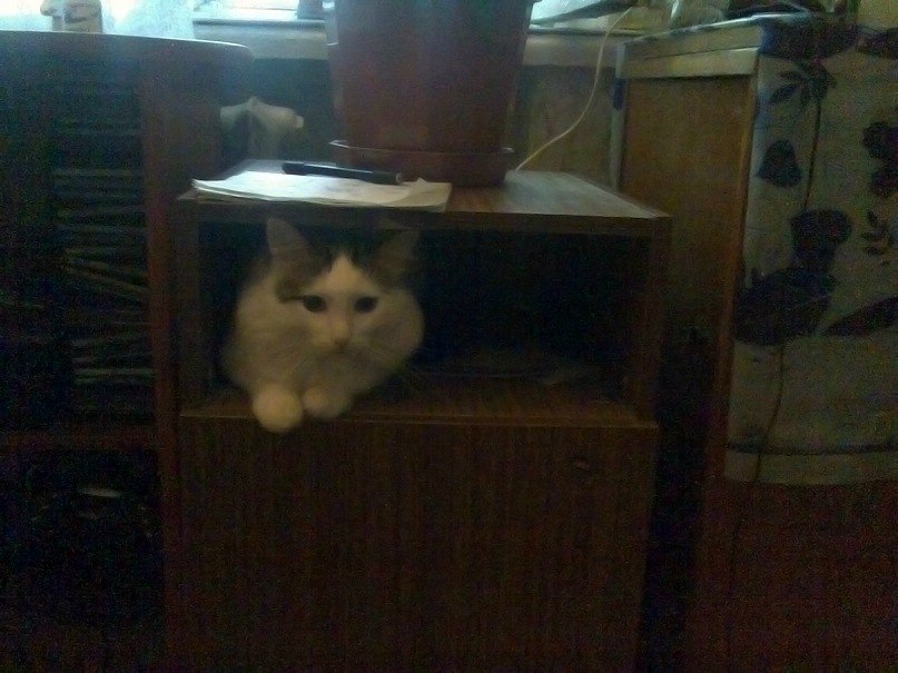 Илья Матвеев | Уфа