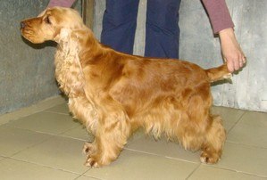 Иринка Митрохина | Екатеринбург