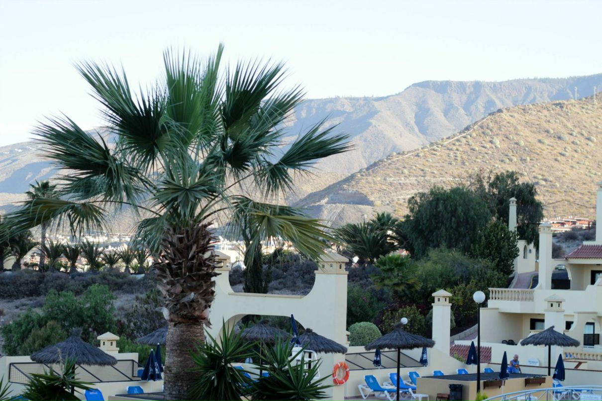 Дмитрий Гребнев *ManDARin* | Зеленоград