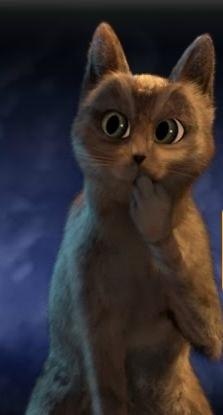 Анастастя Звездина | Ростов-на-Дону