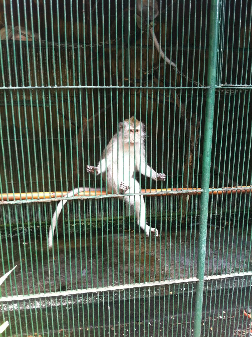 Мария Тарковская Сергеевна | Новосибирск