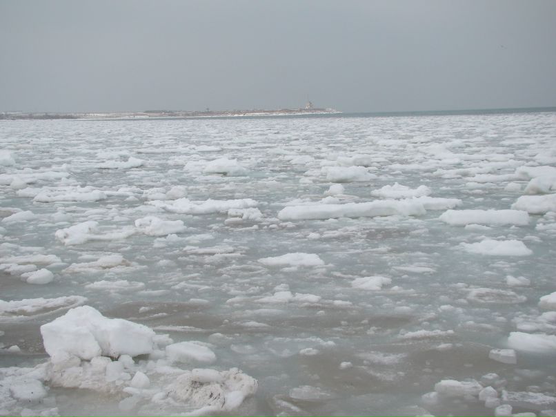 Андрей Гусаренко | 