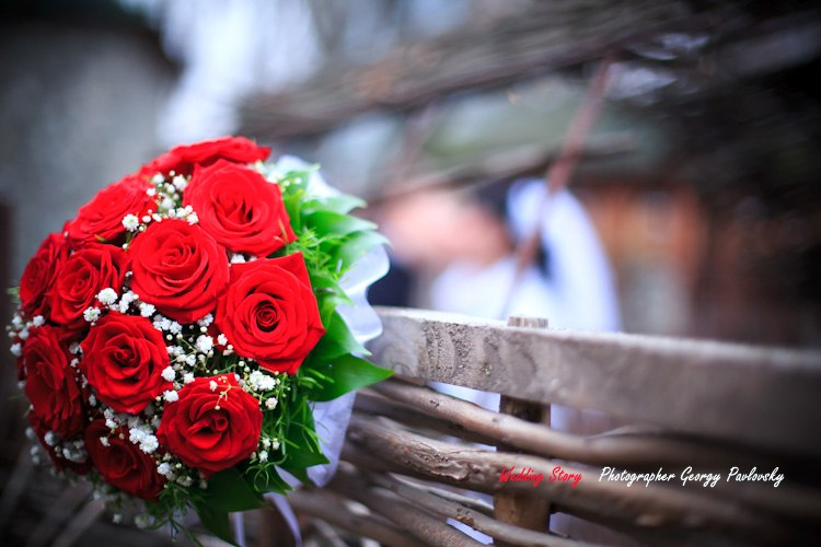 Георгий Павловский | Краснодар