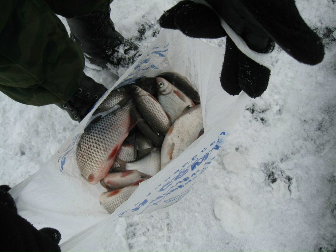 Алексей Гора | Санкт-Петербург