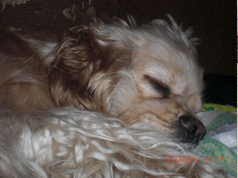 Катеринка Никулина | Hameln